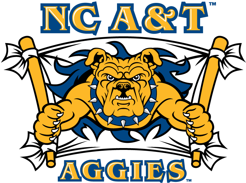 North Carolina A&T Aggies 2006-Pres Secondary Logo v3 iron on transfers for T-shirts